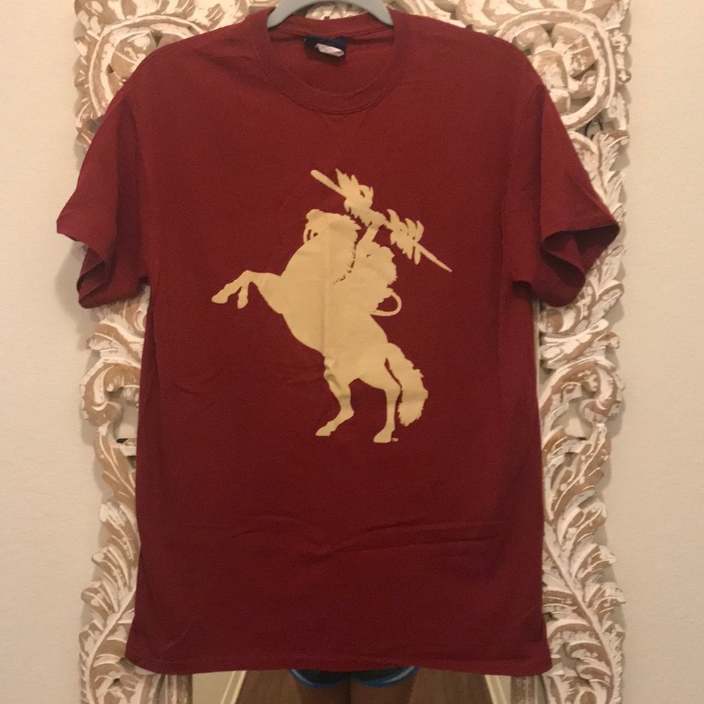 FSU shirt